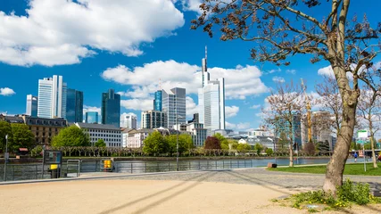 Mainufer in Frankfurt © matho