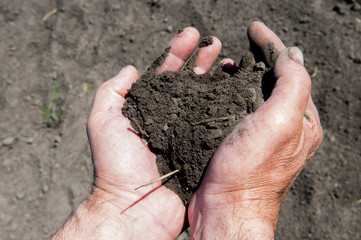 Земля в руках