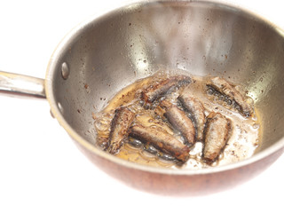 sprats