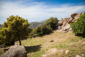 Fototapeta na wymiar Landschaften auf Korsika