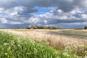 Dutch windmill and wildflowers by river