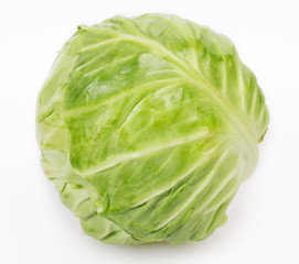Fresh cabbage