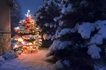 Heavy snow falls quietly on this magical Christmas Tree scene. - 83619598