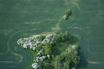 Felder und Wiesen, Brandenburg, Deutschland