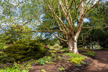 Beautiful, botanic garden in Spring.