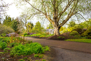 Beautiful, botanic garden in Spring.