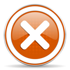 Obraz premium orange icon