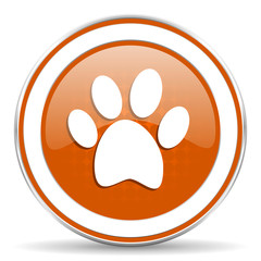 foot orange icon