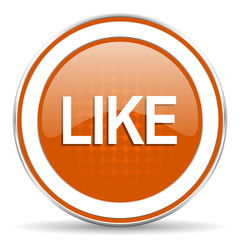 like orange icon