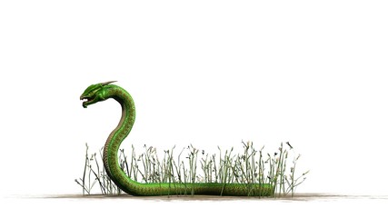 Snake in the Grass - isolated on white background