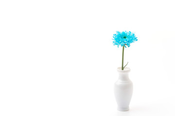 blue flower