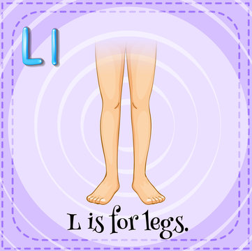 Flashcard L