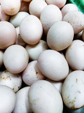 Fresh eggs/ Fresh eggs on a farmers market 
