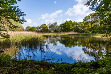 Teich in Heiligendamm
