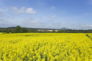 Obraz premium Spring Landscape in Bohemian Paradise with Castle Trosky