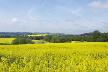Spring Landscape in Bohemian Paradise with Castle Trosky