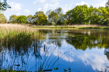 Teich in Heiligendamm