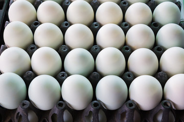 Salted eggs in the package
