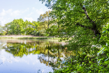 Teich in Heiligendamm