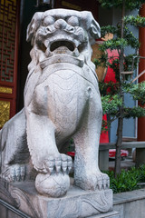 Chinese style lion statue