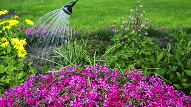 Wasser f&uuml;r die Pflanzen