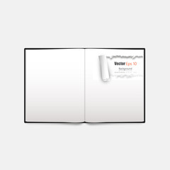Vector Open book with ripped page isolated 