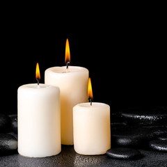 beautiful spa concept of blooming twig red orchid flower, phalae