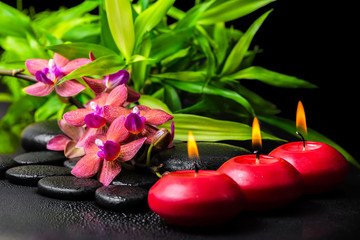 beautiful spa concept of blooming twig red orchid flower, phalae