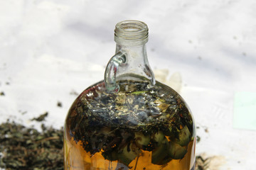 How to Ratafia, the typical liquor herbs Catalan © mercepararols
