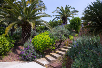 Fototapeta premium Botanical garden of Barcelona, Spain