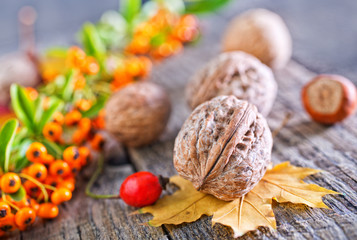 autumn background