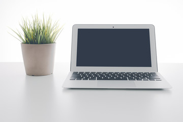 Fototapeta premium Laptop and flower pot