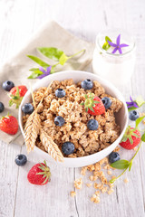 bowl of muesli with berries fruits