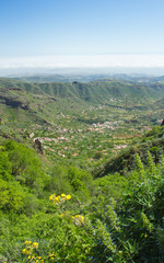 Naklejka premium Gran Canaria, Valsequillo municipality