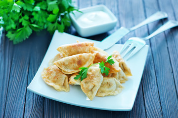 fried dumplings