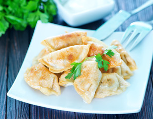 fried dumplings