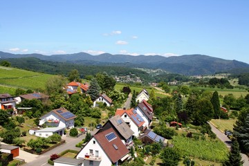 Obraz premium Tannenkirch