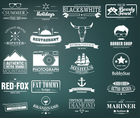 Retro Vintage Insignias or Logotypes set. Vector design elements