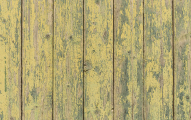 Old wooden wall background color yellow-green