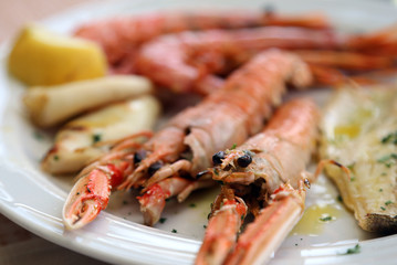 two huge prawns grilled in the dish of the restaurant