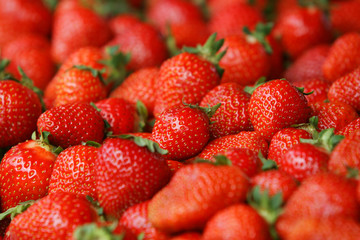 Many Tasty Juicy Strawberry Close Up