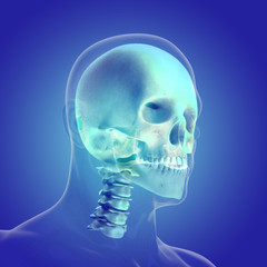 The human body (organs) by X-rays on blue background