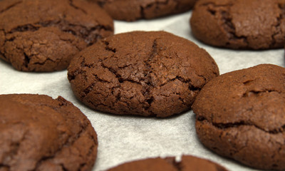 freshly made choocolate cookies