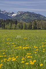 Frühling im Isarwinkel