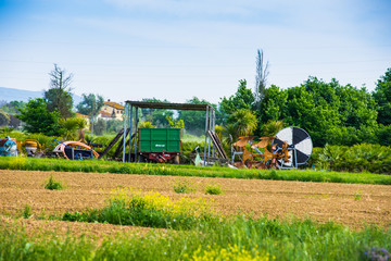 Fototapeta premium Fattoria, azienda agricola, Paesaggio di campagna Toscana