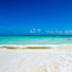 Fototapeta premium sea