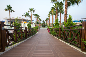 Fototapeta premium Garden