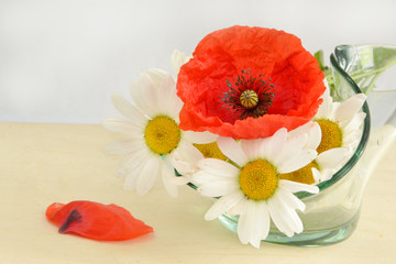 Mohn