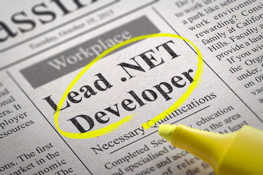 Lead NET Developer Vacancy in Newspaper.