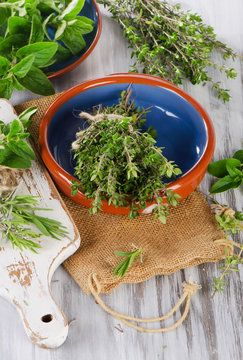 fresh green mediterranean herbs.